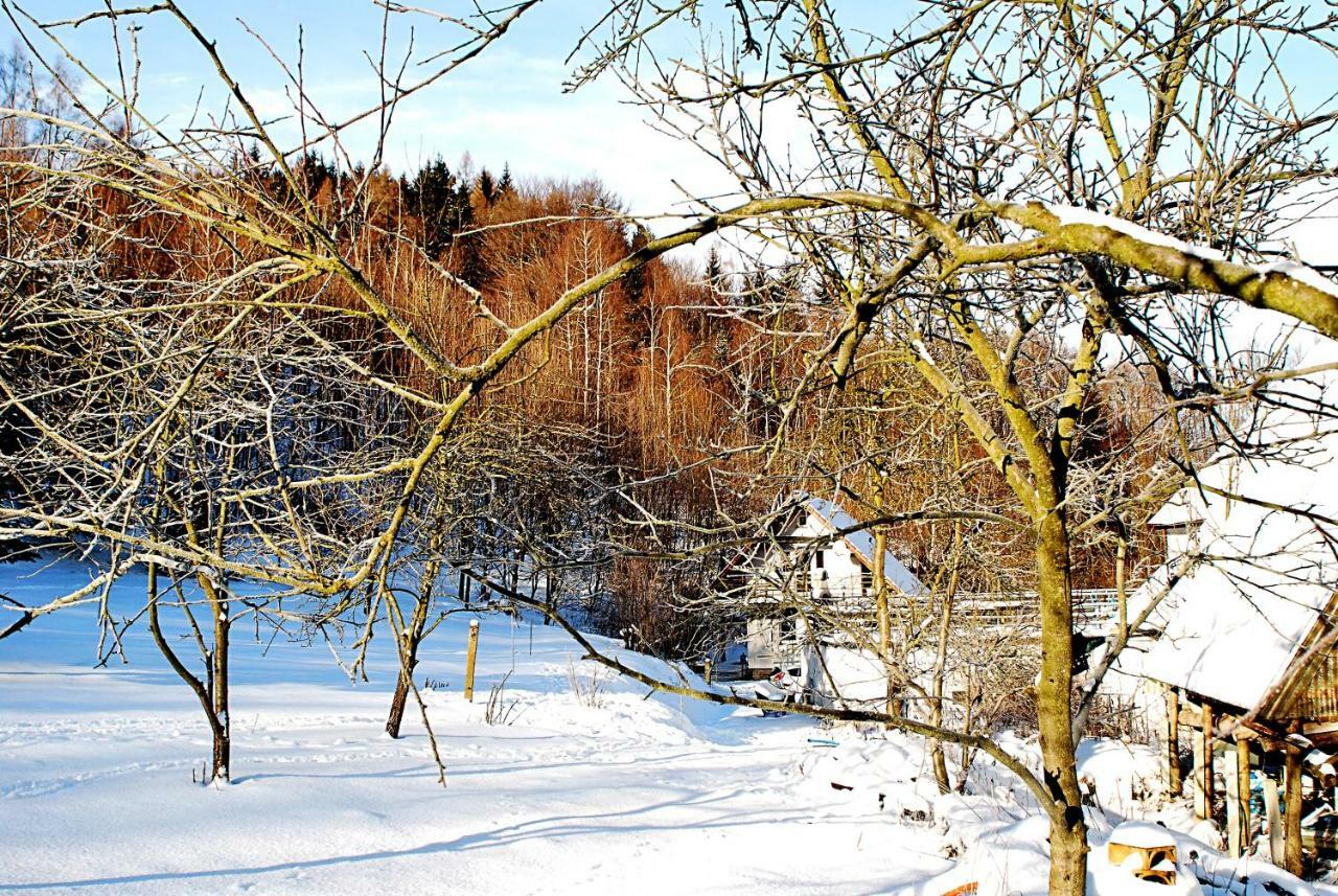 Biotanika Villa Michalkowa Kültér fotó