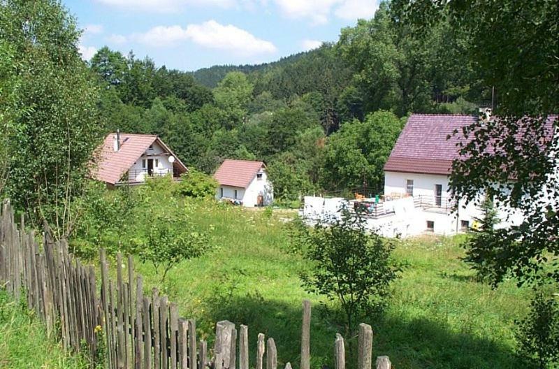 Biotanika Villa Michalkowa Kültér fotó
