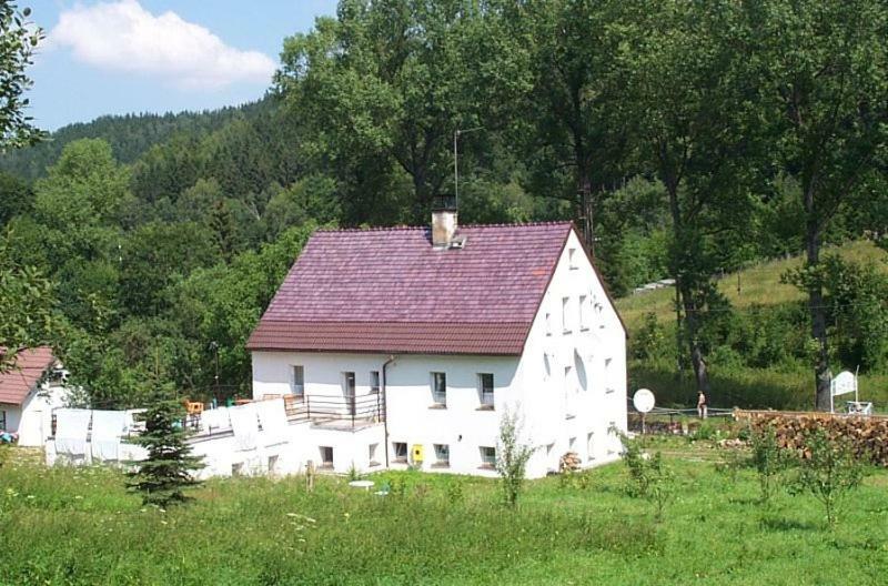 Biotanika Villa Michalkowa Kültér fotó