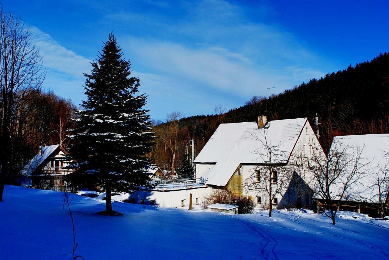 Biotanika Villa Michalkowa Kültér fotó