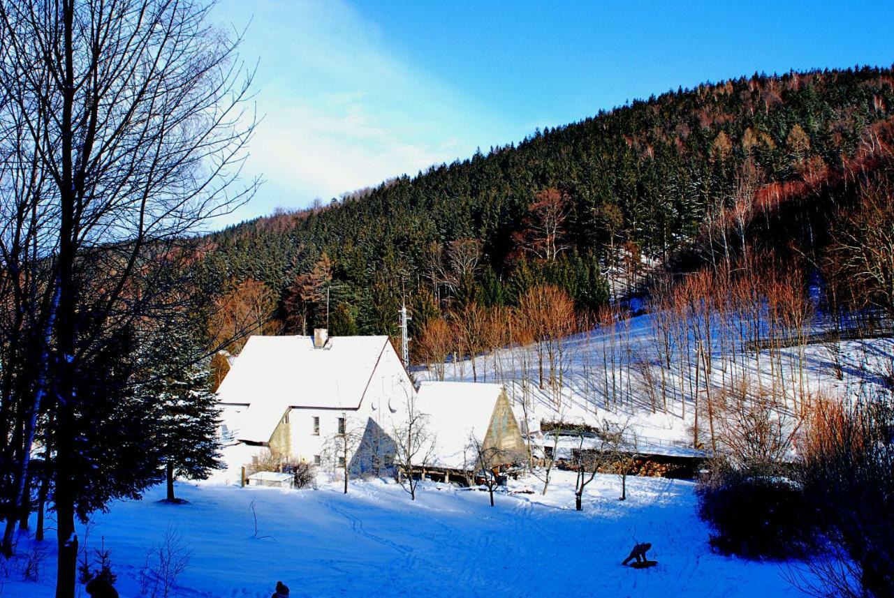 Biotanika Villa Michalkowa Kültér fotó